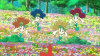 Floette de Goh