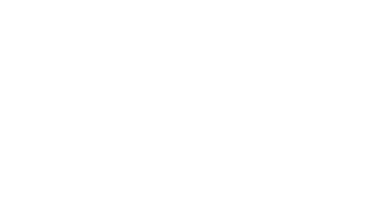 La conserje Pokémon