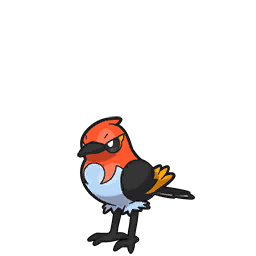 662 Fletchinder  Bird pokemon, Pokemon, Flying type pokemon