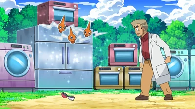 To Catch a Rotom! - Adventures in Unova and Beyond