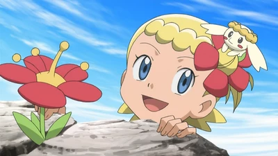 To Find a Fairy Flower! - XY