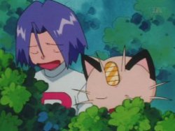◓ Anime Pokémon Journeys (Pokémon Jornadas de Mestre) • Episódio 51: O  Grande Desafio de Farfetch'd!