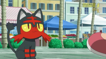 A primeira captura em Alola, no estilo Ketchum!