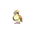 #016 Pidgey