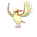 #018 Pidgeot