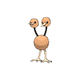 #084 Doduo