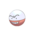 #101 Electrode