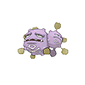 #110 Weezing