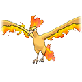 #146 Moltres