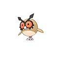 #163 Hoothoot