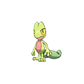 #252 Treecko