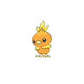 #255 Torchic