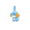 #258 Mudkip