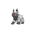 #261 Poochyena