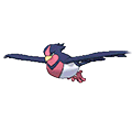 #277 Swellow
