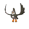 #397 Staravia