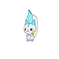 #417 Pachirisu