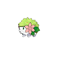 #492 Shaymin
