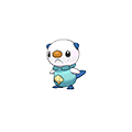 #501 Oshawott