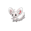 #572 Minccino