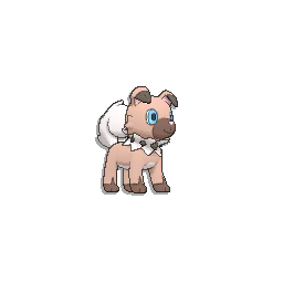 #744 Rockruff