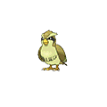 #016 Pidgey