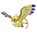 #018 Mega Pidgeot Shiny