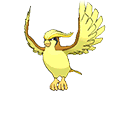 #018 Pidgeot
