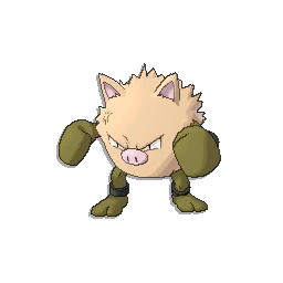 #057 Primeape