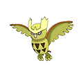 #164 Noctowl