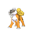 #243 Raikou