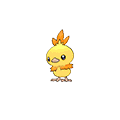 #255 Torchic