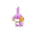 #258 Mudkip