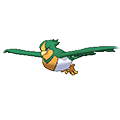 #277 Swellow
