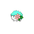 #492 Shaymin
