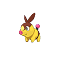 #498 Tepig
