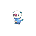#501 Oshawott